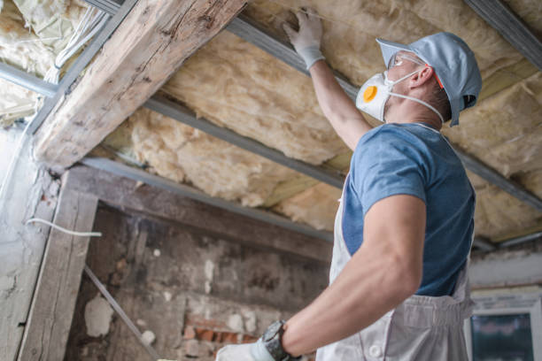 Best Specialized Insulation Services in Ada, OK